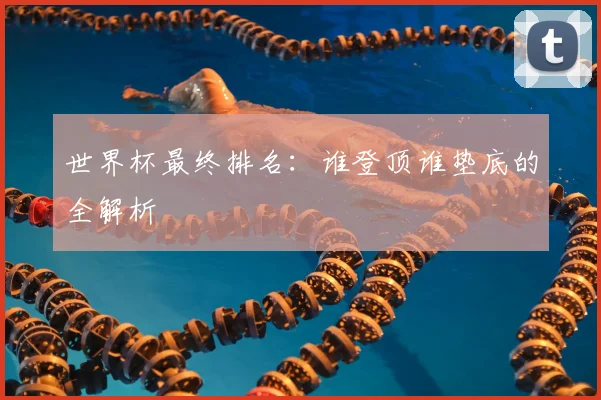 世界杯最终排名：谁登顶谁垫底的全解析