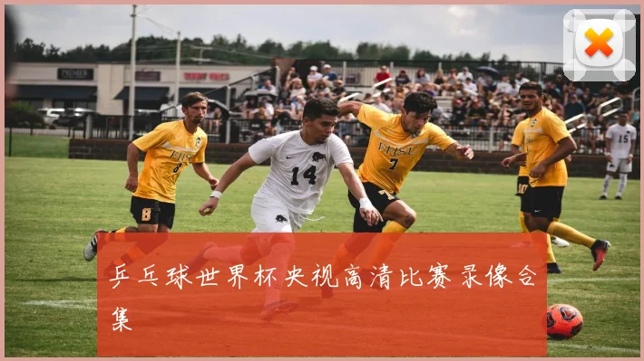 乒乓球世界杯央视高清比赛录像合集