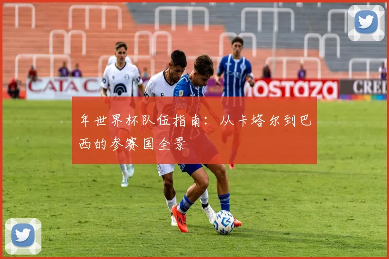 年世界杯队伍指南：从卡塔尔到巴西的参赛国全景