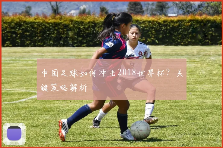 中国足球如何冲击2018世界杯？关键策略解析