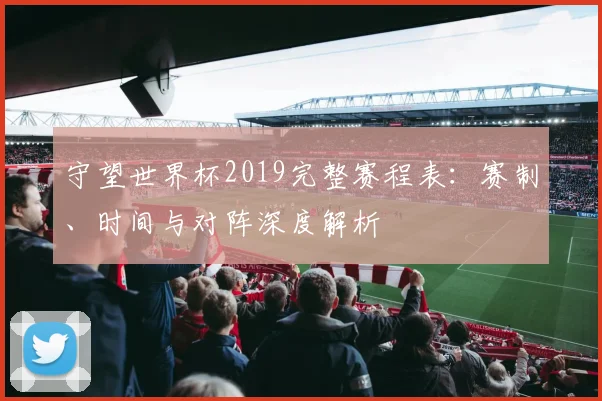 守望世界杯2019完整赛程表：赛制、时间与对阵深度解析