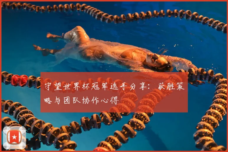 守望世界杯冠军选手分享：获胜策略与团队协作心得